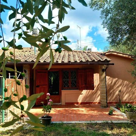 All'Ombra Degli Olivi Pisciarelli Buitenkant foto