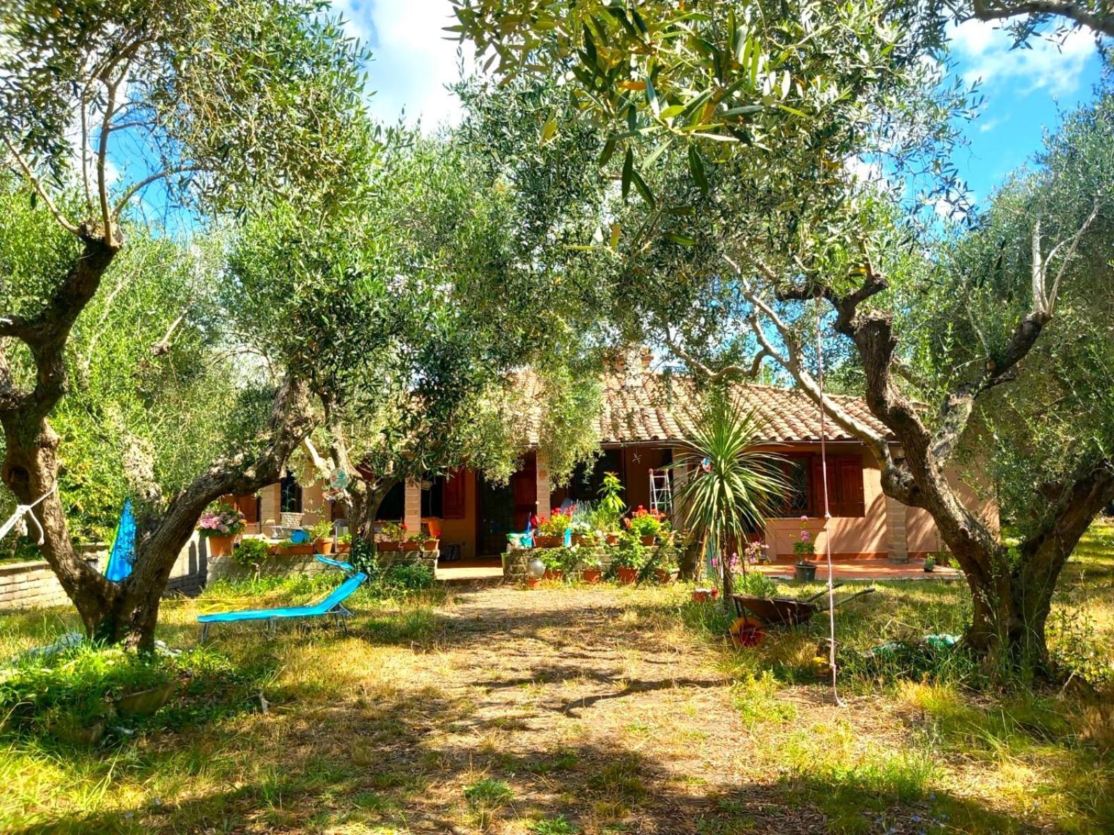 All'Ombra Degli Olivi Pisciarelli Buitenkant foto