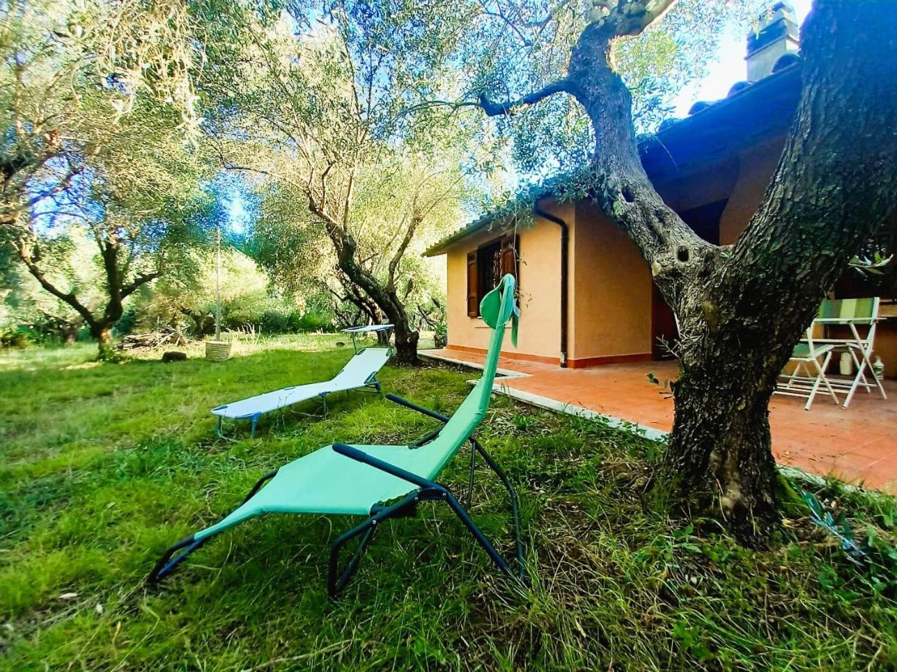 All'Ombra Degli Olivi Pisciarelli Buitenkant foto